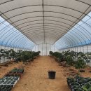 태환농장 이미지