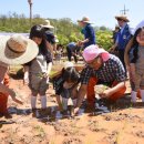 양재어린이공원 이미지