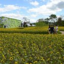 봉화산 민박 이미지