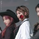 이레다미