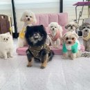 학교종이 댕댕댕 이미지