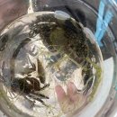 인휴민박 이미지