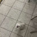 안녕아가 이미지