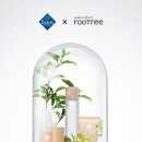 샘스 이미지