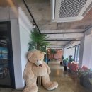 연꽃언덕 이미지