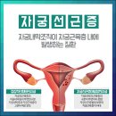 단원병원뒤 이미지