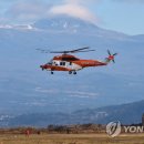 비행장기사식당 이미지