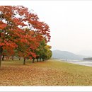 밀양시(상동교) Daum카페