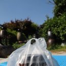 본도시락 포천송우리점 이미지