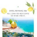 레몬과 오렌지 이미지