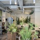 소코아(SOKOA) 이미지