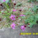 선산대로10-10 이미지