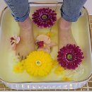 디톡하우스 이미지