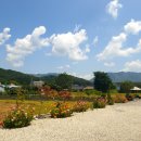 속닥거림펜션 | [가평/설악] 프랑스 감성 낭낭한 분위기 맛집 가평 카페 파리세지엠아르💕