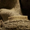 에디슨공작소 | 갤럭시S7 64GB 골드 구매 개봉기 :: 카메라 왜곡이 뭔지