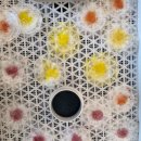 굿데이영농조합 이미지