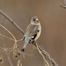 여주-1031 이미지