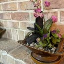 핫썬베이크치킨 이미지