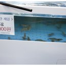 주식회사정치망1 이미지