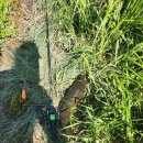 애:영스테이 이미지