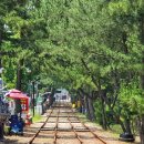 원평 민박 이미지