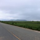 화원초등학교 앞 이미지