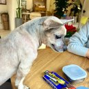 은주분식 이미지