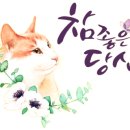 천지본올파워