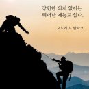 하얀미의원 | 이야기, 11일은 말냉이가 흔한 잡초처럼 보이지만 하얀 꽃 피울 때면 소박한 기적 일궈내듯이 경주 동남...