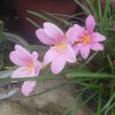 기산초등학교 앞 이미지