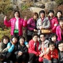 돌고래라이브 Daum카페