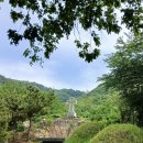 형제산업 | ❑ 조씨 형제 순교자 묘