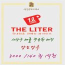 더리터사상