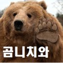 곰방와 네이버블로그