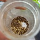 송우막썰어회집 | [울산진하] 울산 진하해수욕장 로컬 맛집 생선회 매운탕 추천 진하막썰어횟집 내돈내산 솔직후기