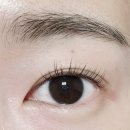 청주 지웰시티 토탈뷰티샵 채움 뷰티(인셀덤) 속눈썹펌 후기