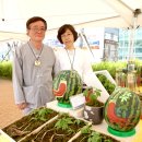 이경희농장 이미지