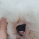 가온동물병원 이미지