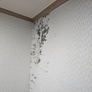 주식회사 가희