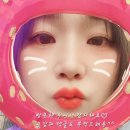 개천사 부도군 | 안성 칠장사(절 사찰)