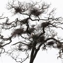 둥지 몸짓의 보금자리 이미지