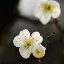 걸포중앙공원 이미지