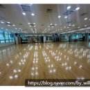 서양화교실 | [발레 원정 기록] 종로문화체육센터 발레 초중급