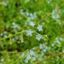 장안검도관 이미지