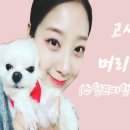 더순수헤어 - 부평구 경인로 1071 | 더순수헤어