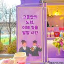 보라고등학교 이미지