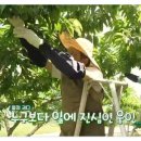 최원영농장 이미지