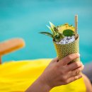 돌고래헬스클럽 이미지