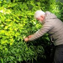 산하가든 이미지