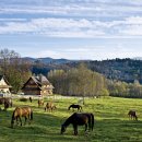 털보농장 이미지